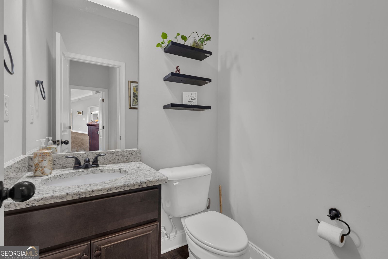 68 Mitchell Farm Drive Sharpsburg - Photo 25