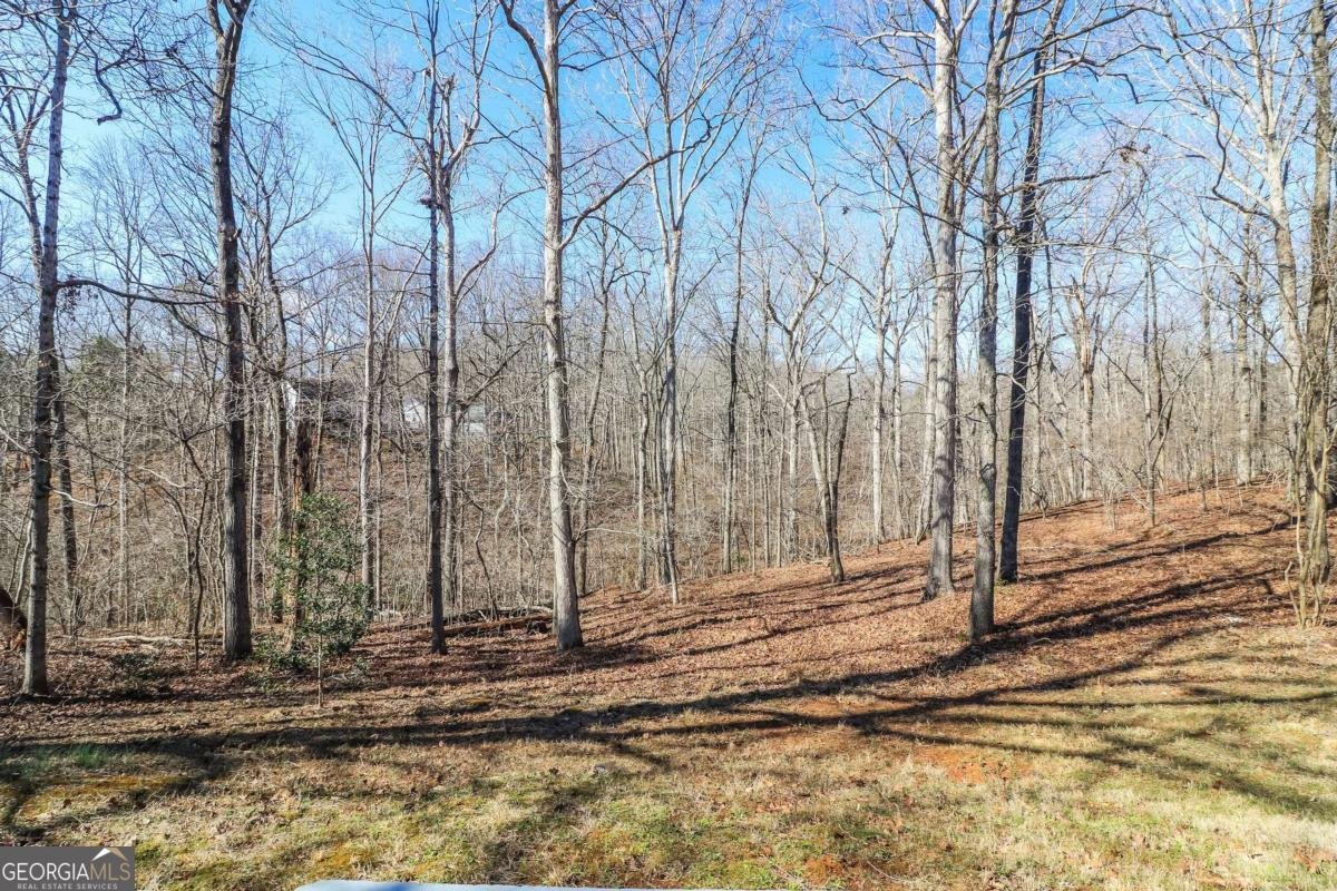 6793 Creeks Edge Court Flowery Branch - Photo 11