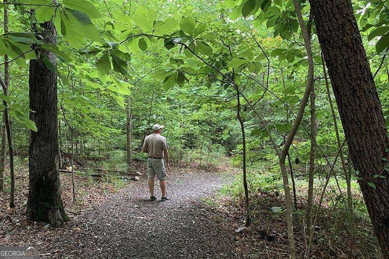 115 Laurel View Canton - Photo 49