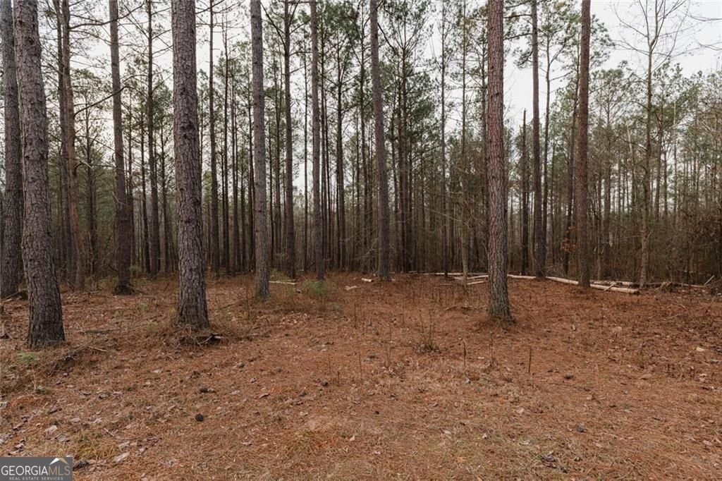 375 Caney Creek Road Carrollton - Photo 15