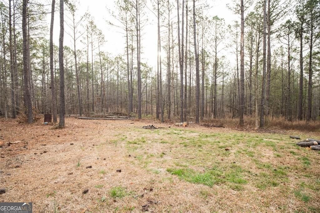 375 Caney Creek Road Carrollton - Photo 8