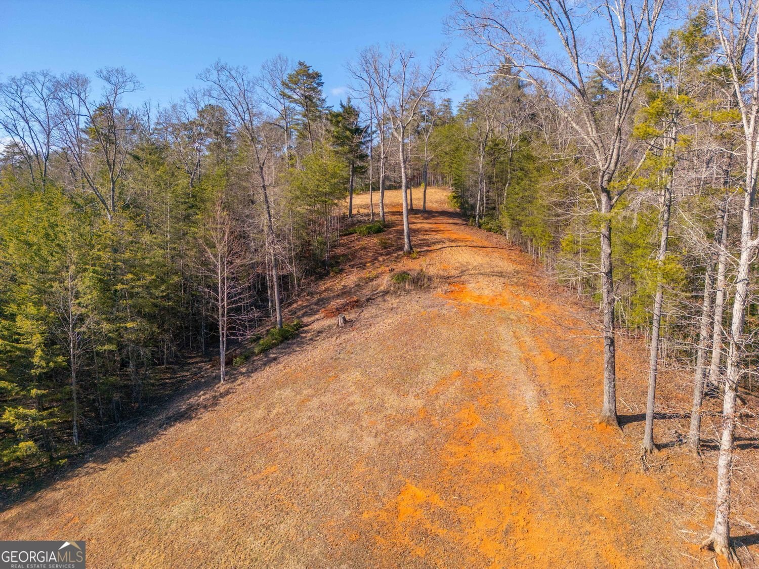 457 Celie Ann Seabolt Road Cleveland - Photo 51