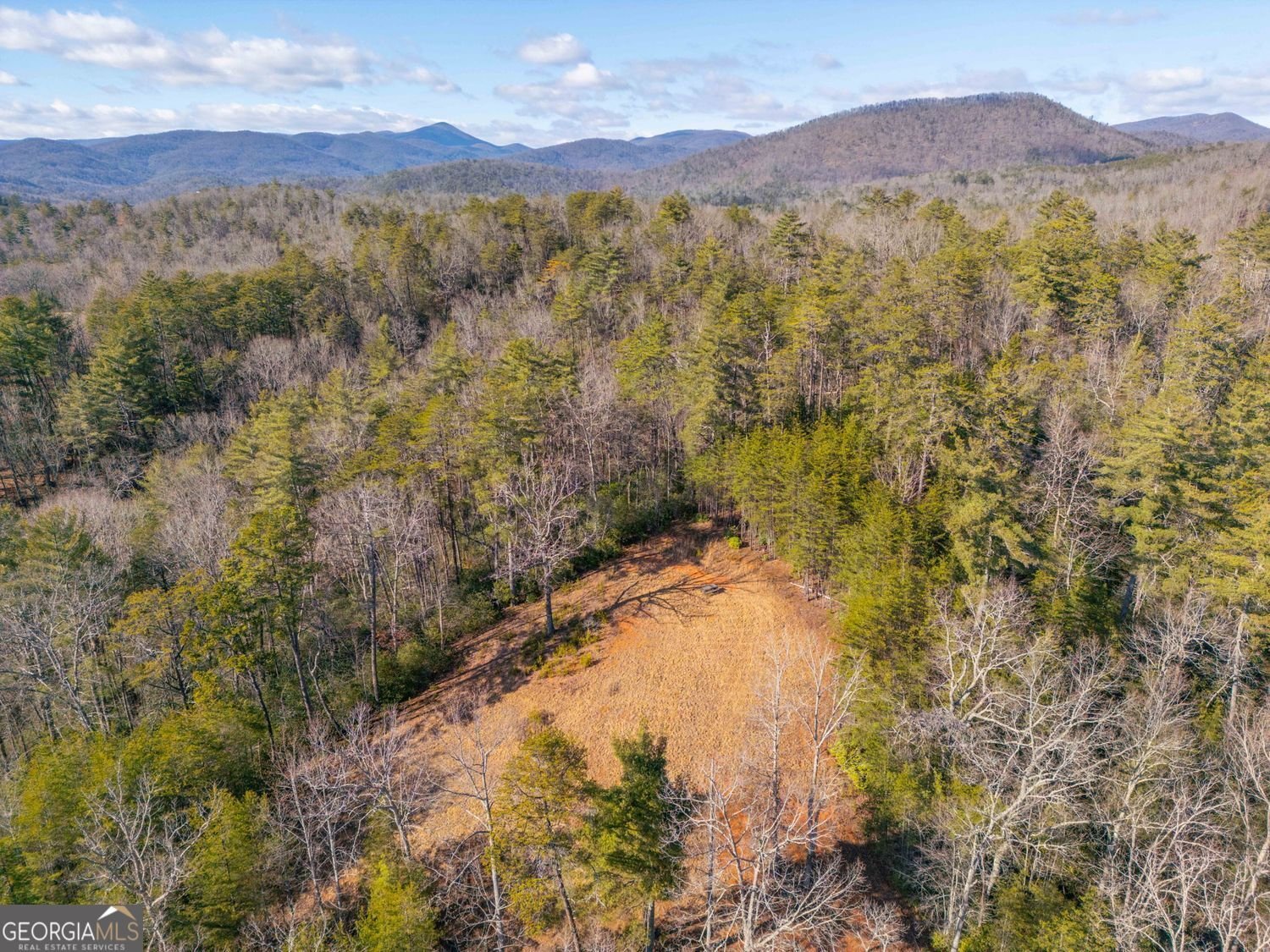 457 Celie Ann Seabolt Road Cleveland - Photo 52