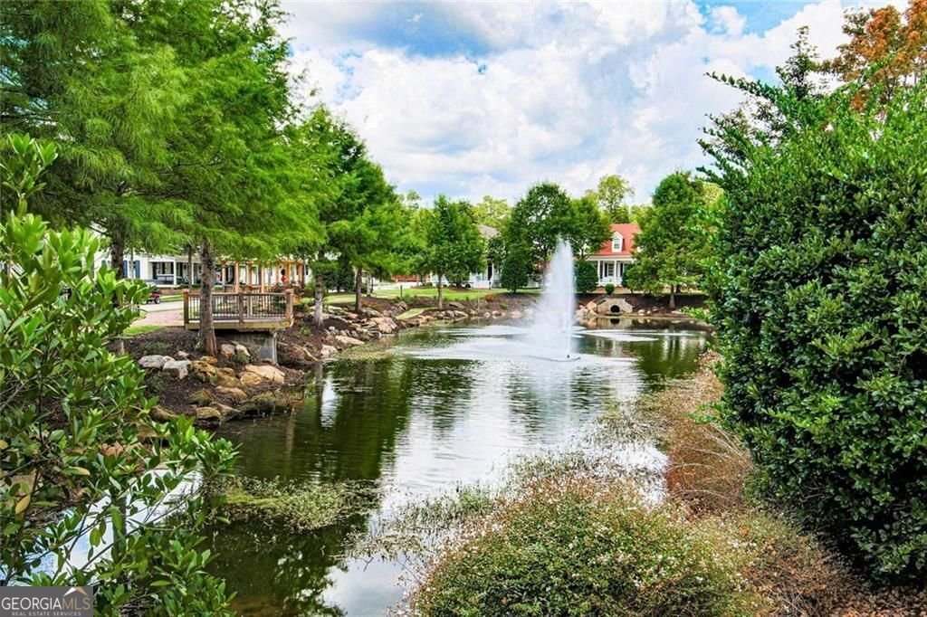 31 Bourbon Street Senoia - Photo 22