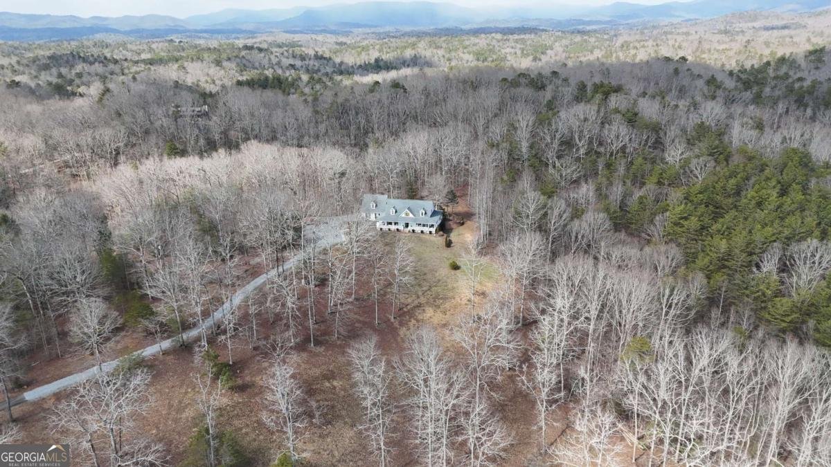 552 Dalrymple Circle Ellijay - Photo 71