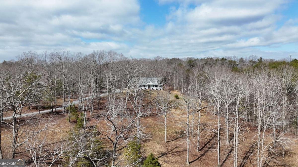 552 Dalrymple Circle Ellijay - Photo 72