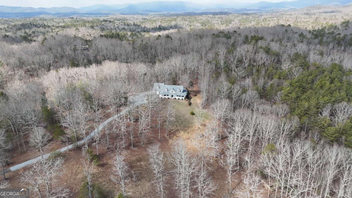 552 Dalrymple Circle Ellijay - Photo 73