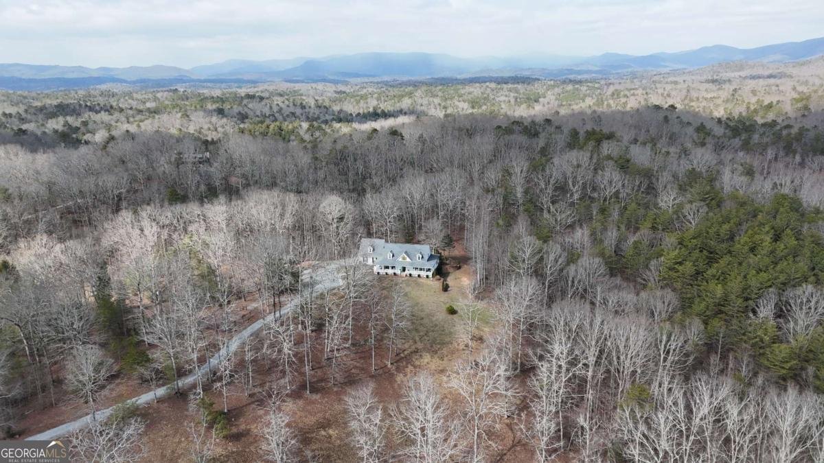 552 Dalrymple Circle Ellijay - Photo 76