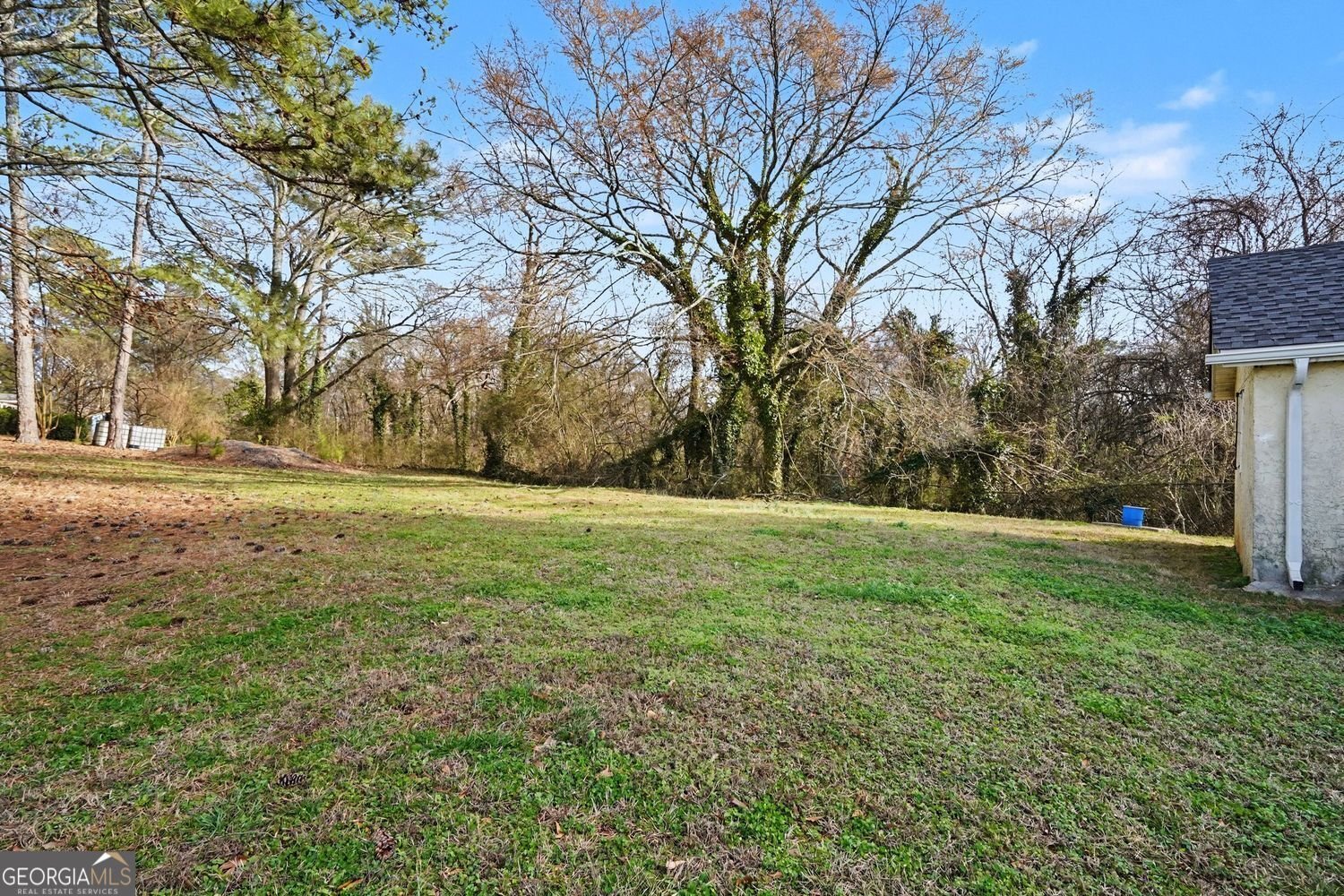 1341 Gun Club Road Atlanta - Photo 10