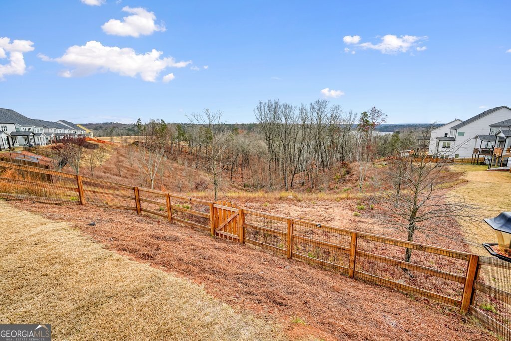 1046 Winding Branch Drive Canton - Photo 50