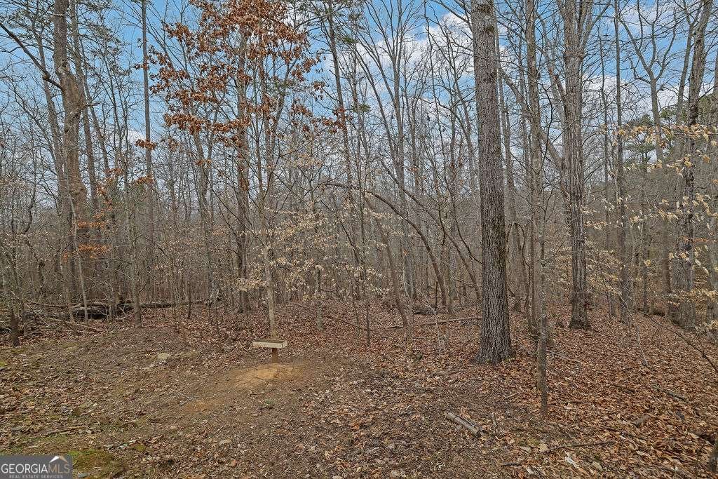 1760 Shire Village Drive Sugar Hill - Photo 43