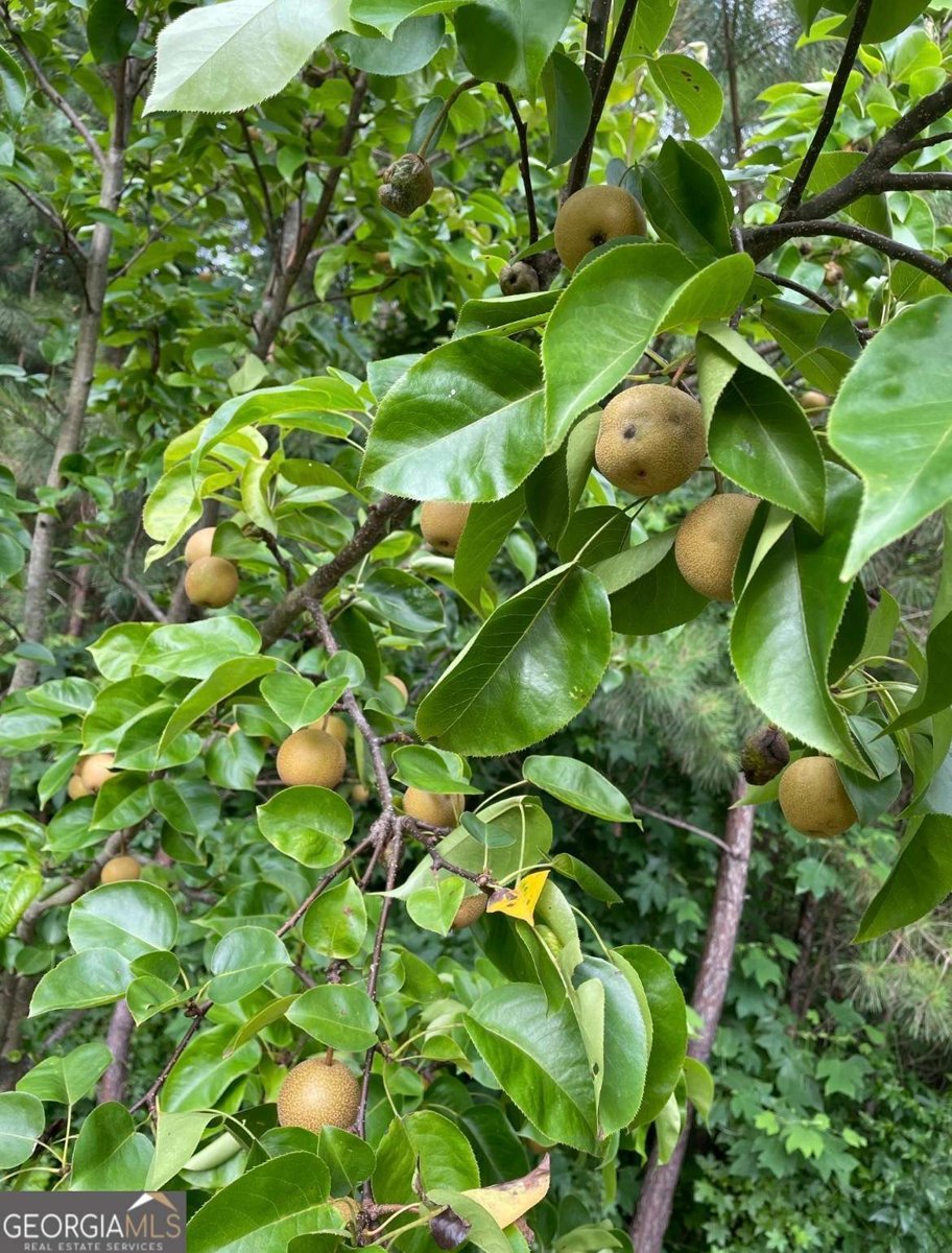 1760 Shire Village Drive Sugar Hill - Photo 45