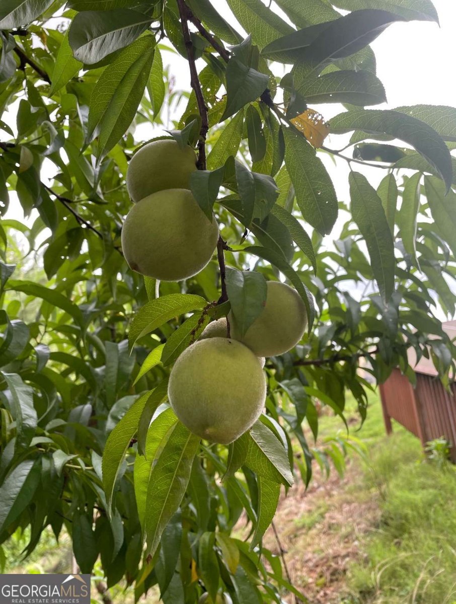 1760 Shire Village Drive Sugar Hill - Photo 46