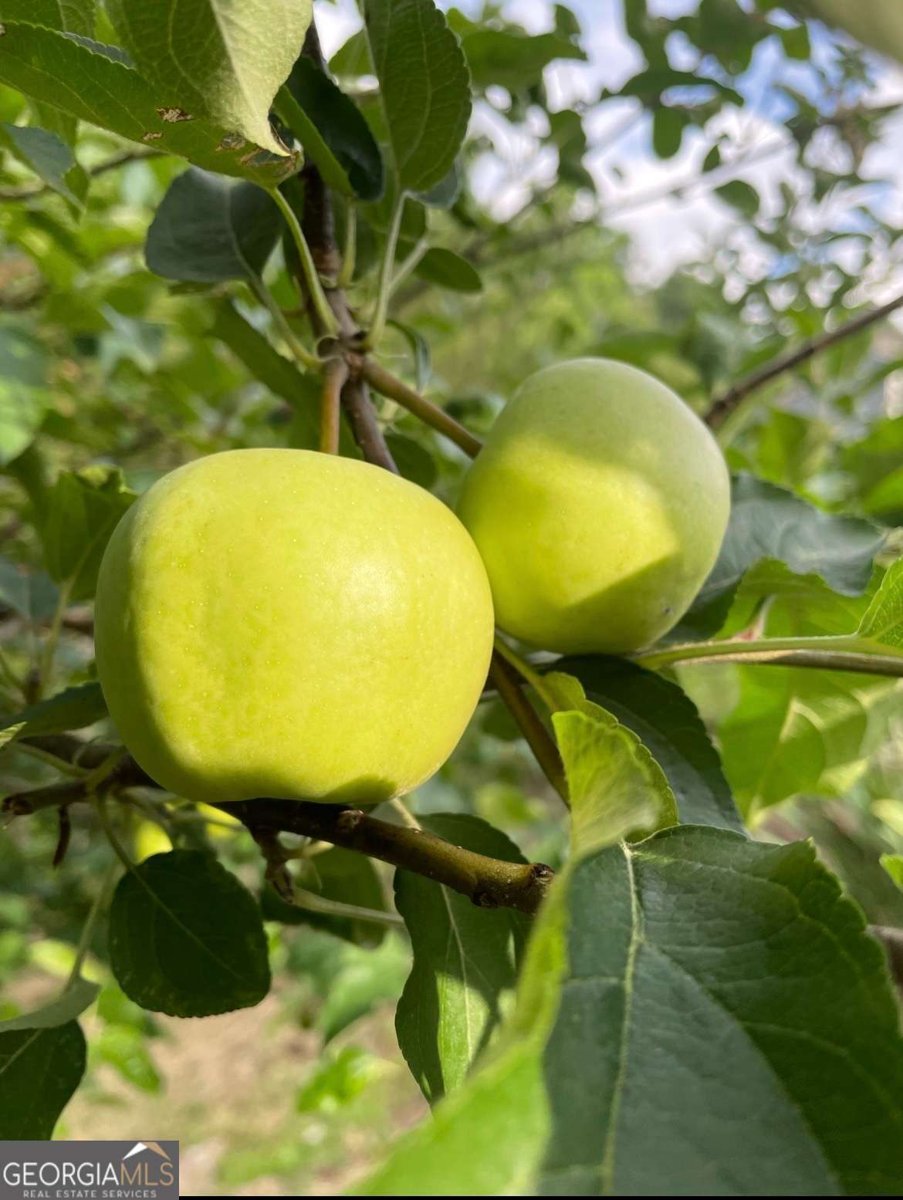 1760 Shire Village Drive Sugar Hill - Photo 47