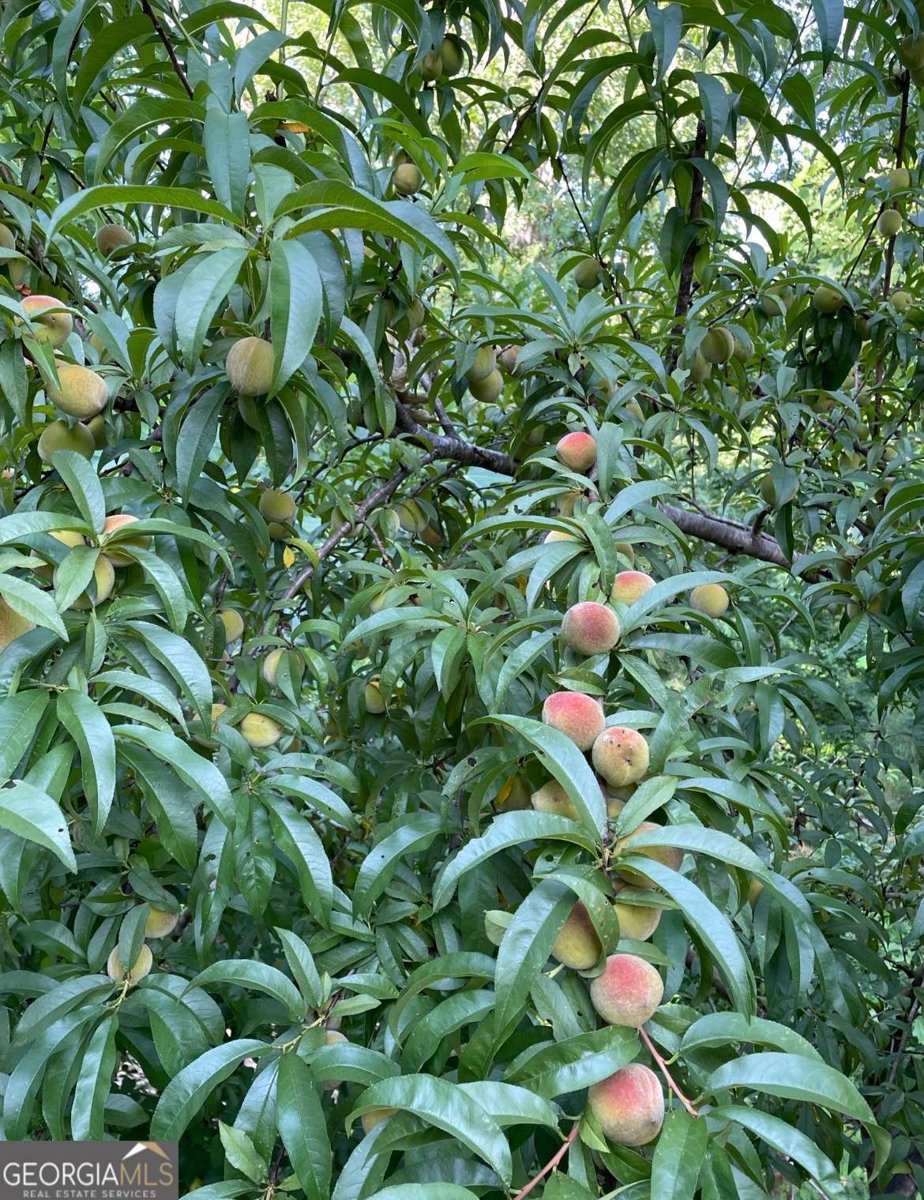 1760 Shire Village Drive Sugar Hill - Photo 48