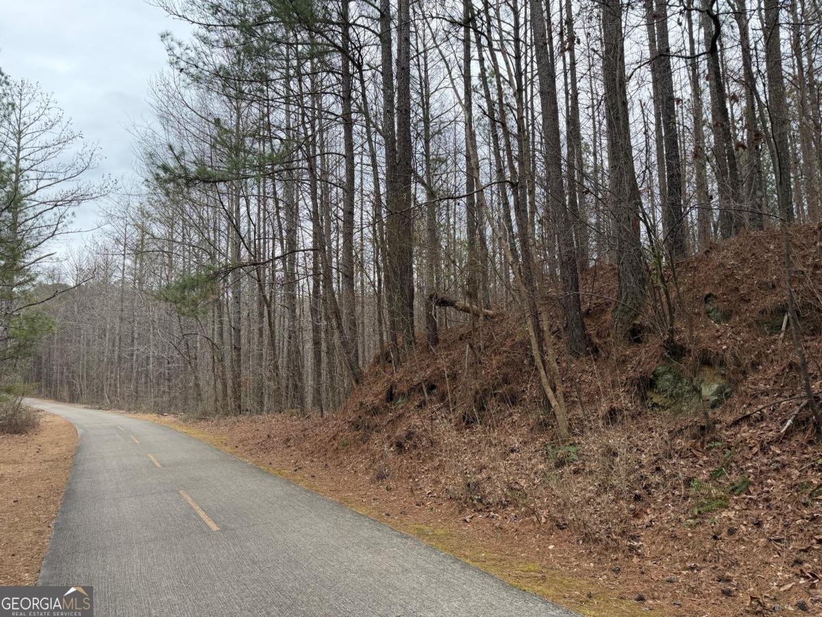 363 Lane Road Dallas - Photo 24