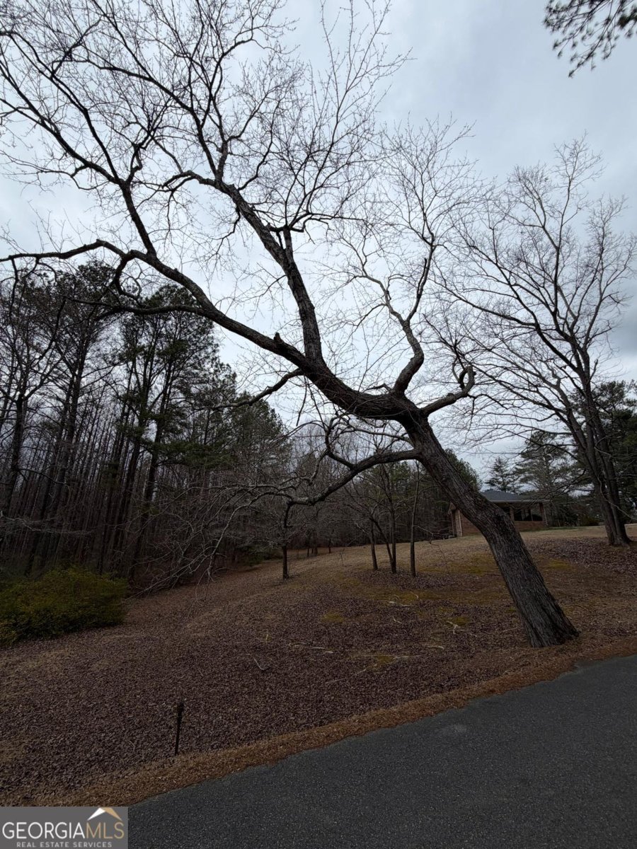 363 Lane Road Dallas - Photo 25