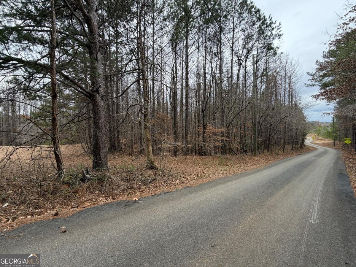 363 Lane Road Dallas - Photo 27