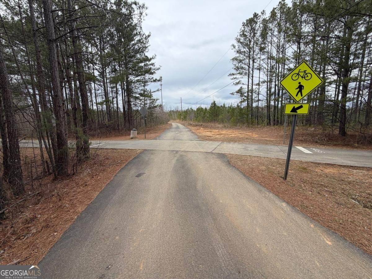 363 Lane Road Dallas - Photo 29