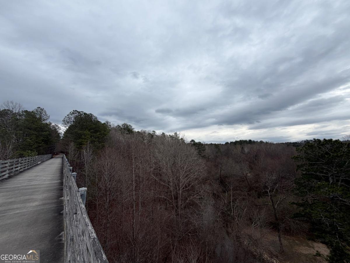 363 Lane Road Dallas - Photo 30