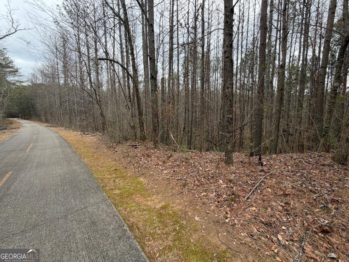 363 Lane Road Dallas - Photo 34