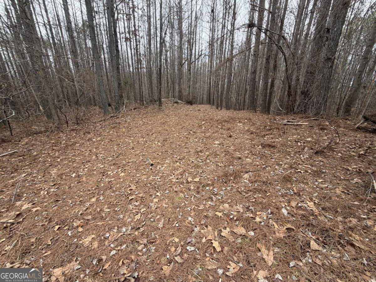 363 Lane Road Dallas - Photo 35