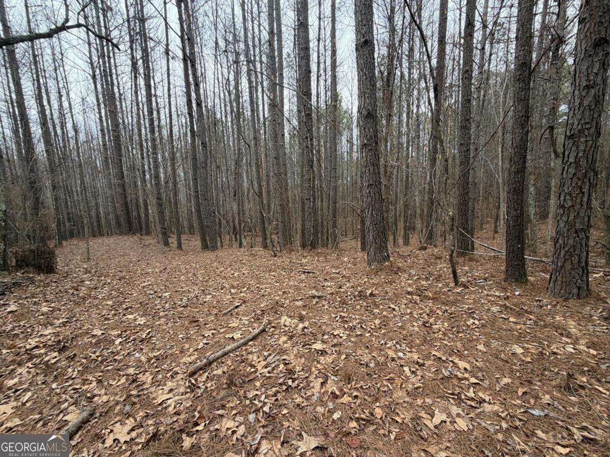 363 Lane Road Dallas - Photo 36