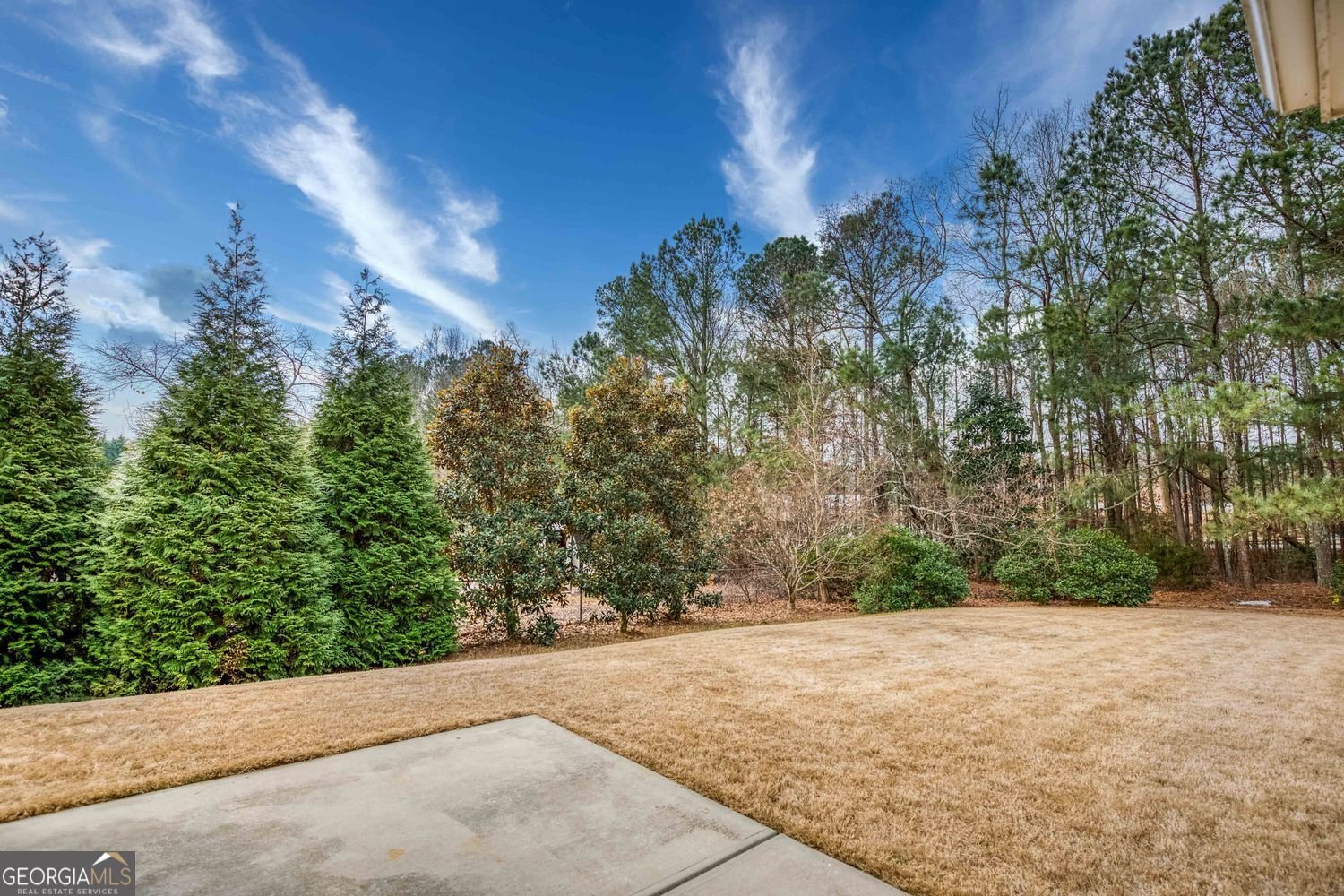 3092 Parks Run Loganville - Photo 35
