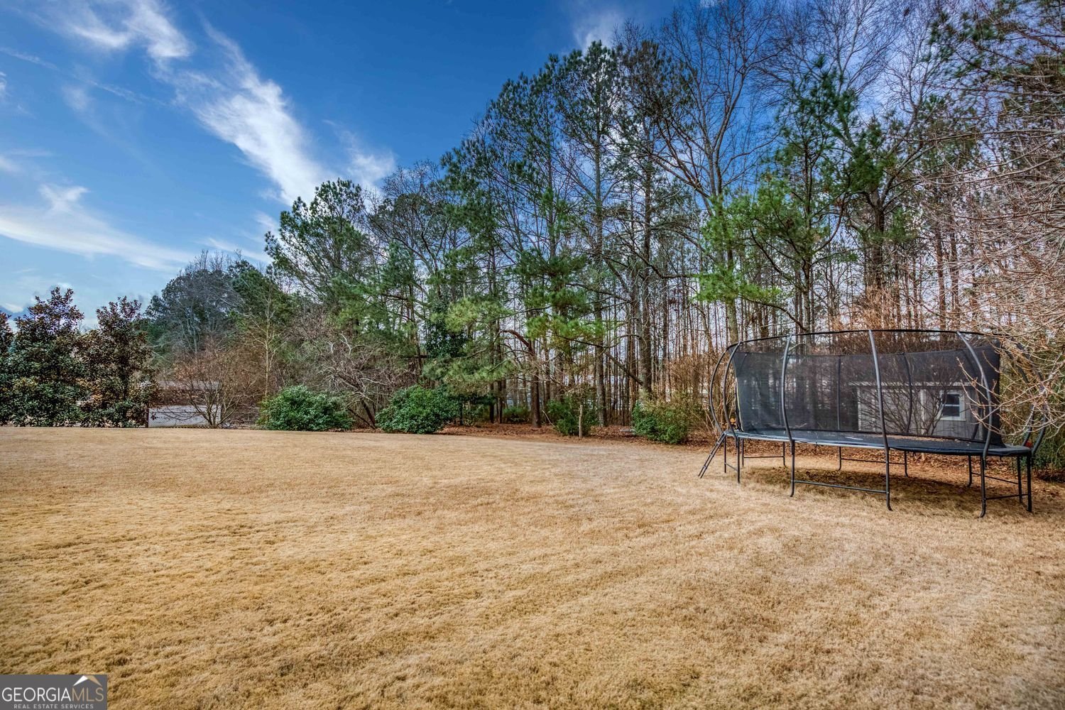 3092 Parks Run Loganville - Photo 37