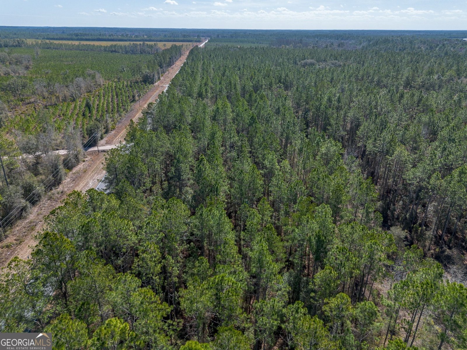 12321 Highway 185 St. George - Photo 18