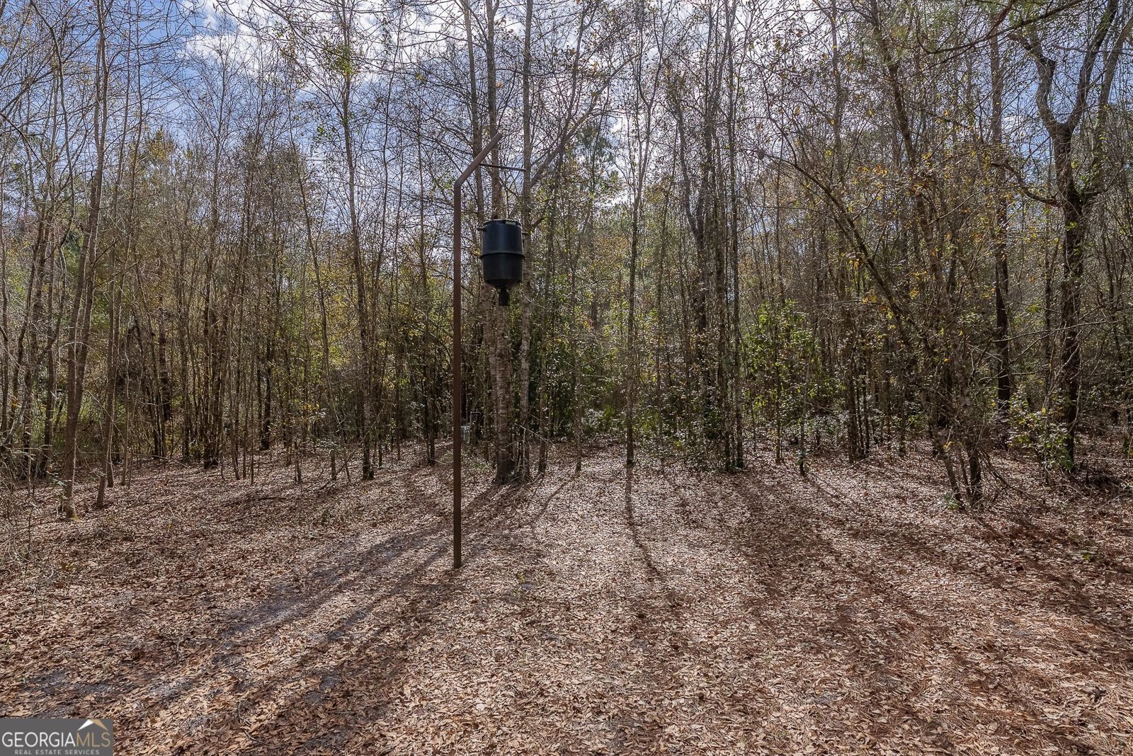 12321 Highway 185 St. George - Photo 21