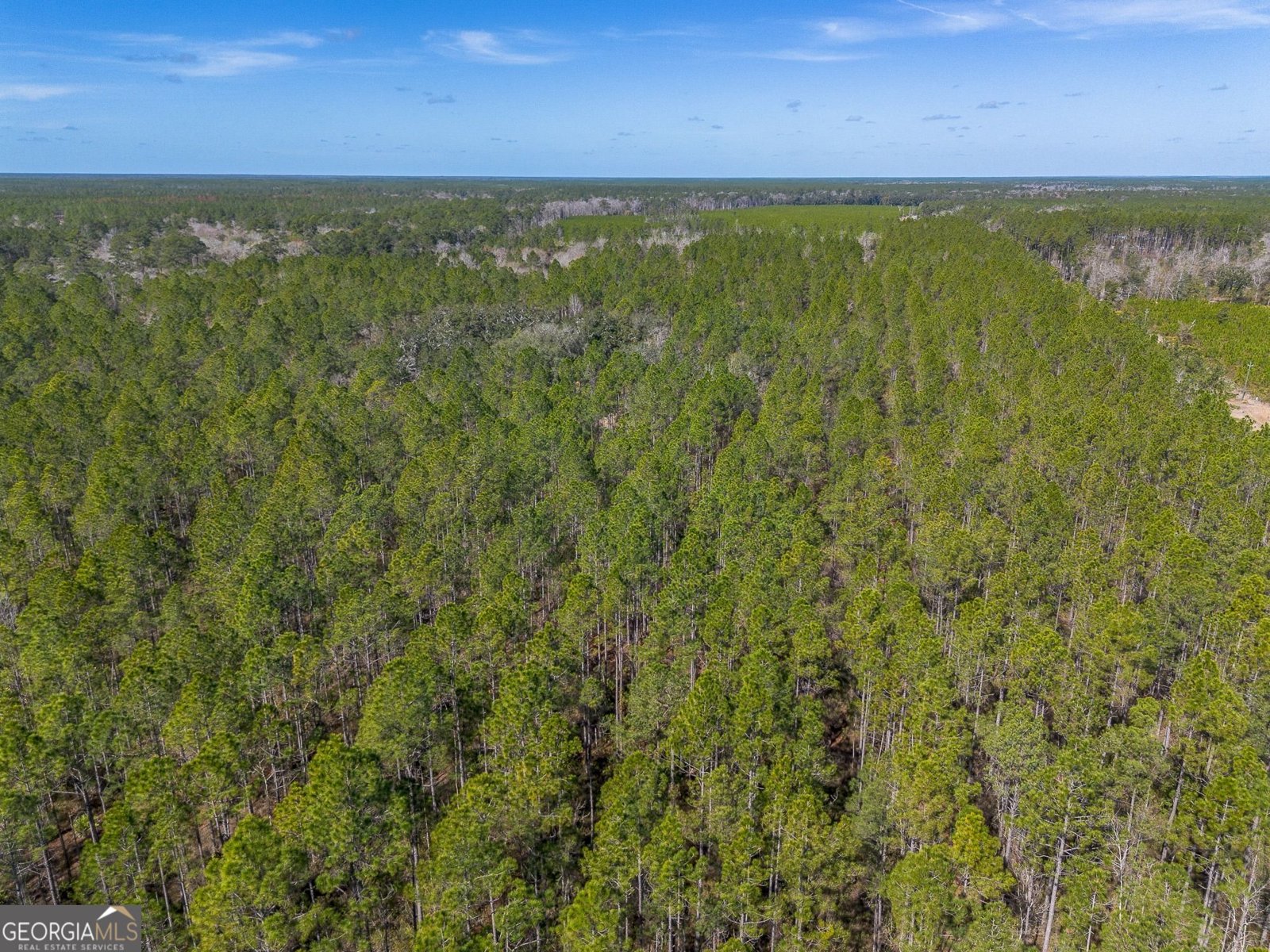 12321 Highway 185 St. George - Photo 46