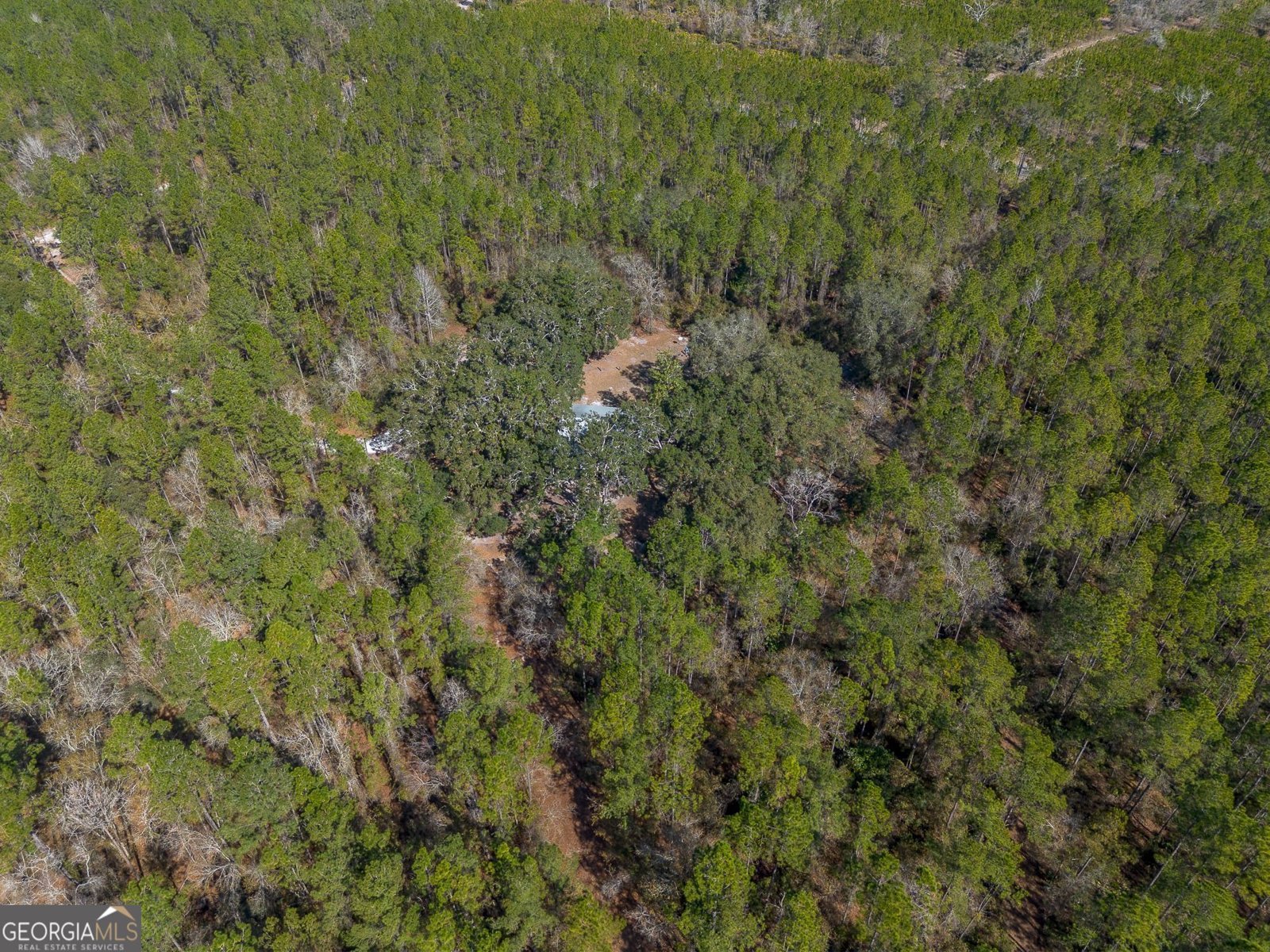 12321 Highway 185 St. George - Photo 48