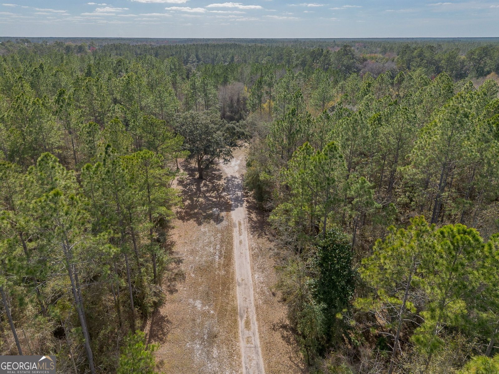 12321 Highway 185 St. George - Photo 50