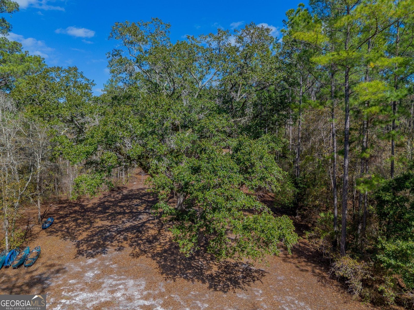 12321 Highway 185 St. George - Photo 52