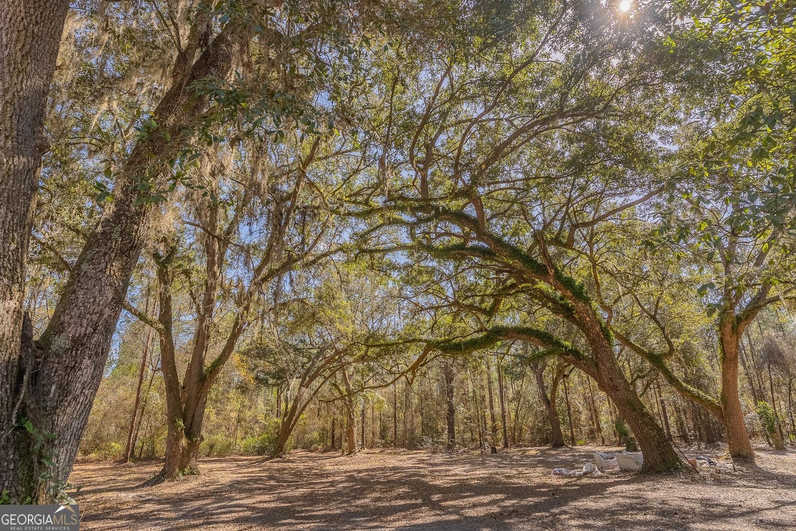 12321 Highway 185 St. George - Photo 71