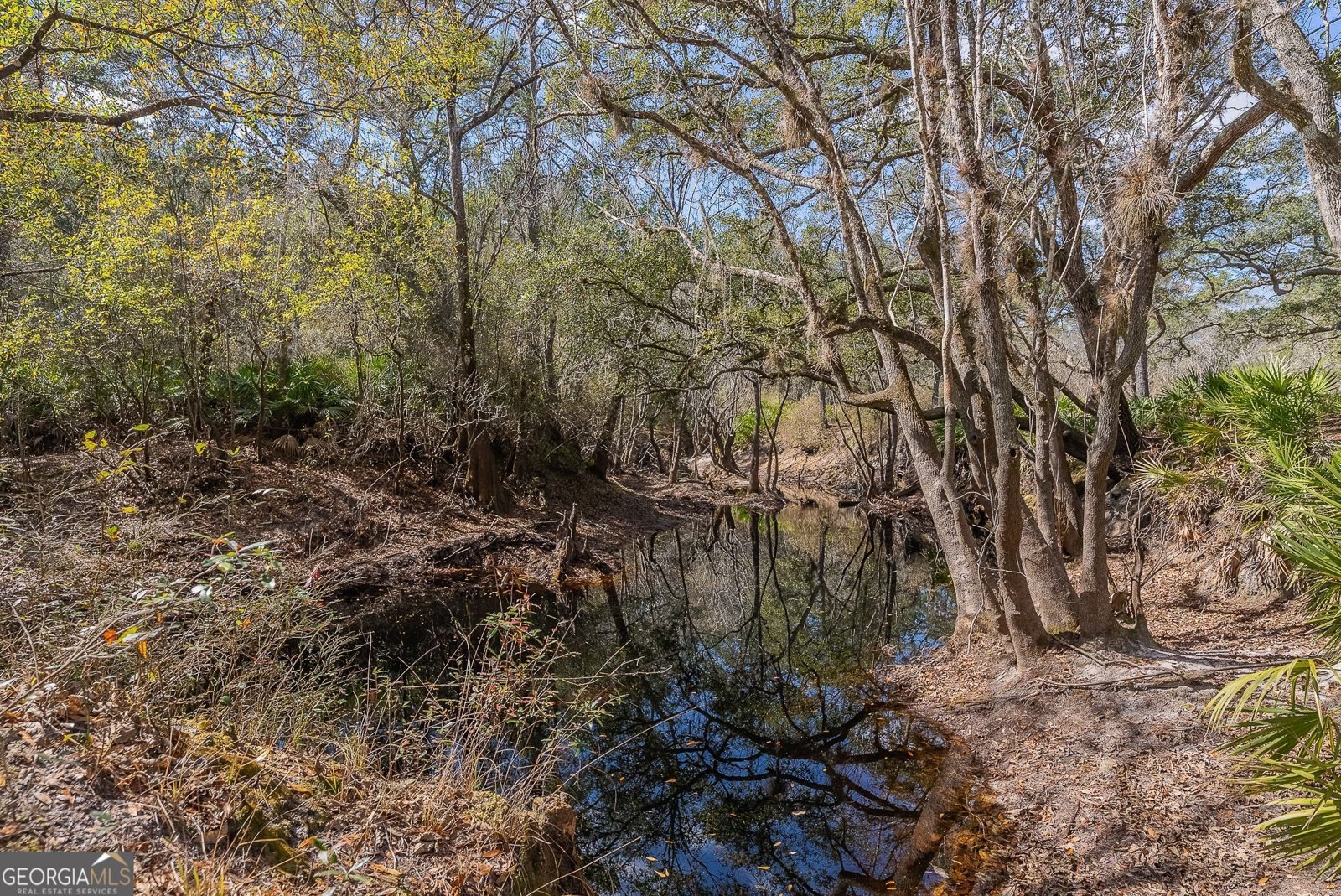 12321 Highway 185 St. George - Photo 72