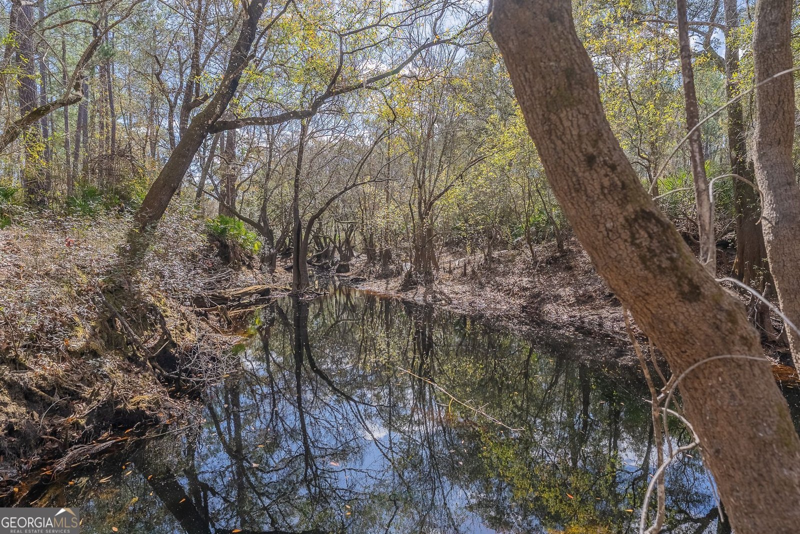 12321 Highway 185 St. George - Photo 73