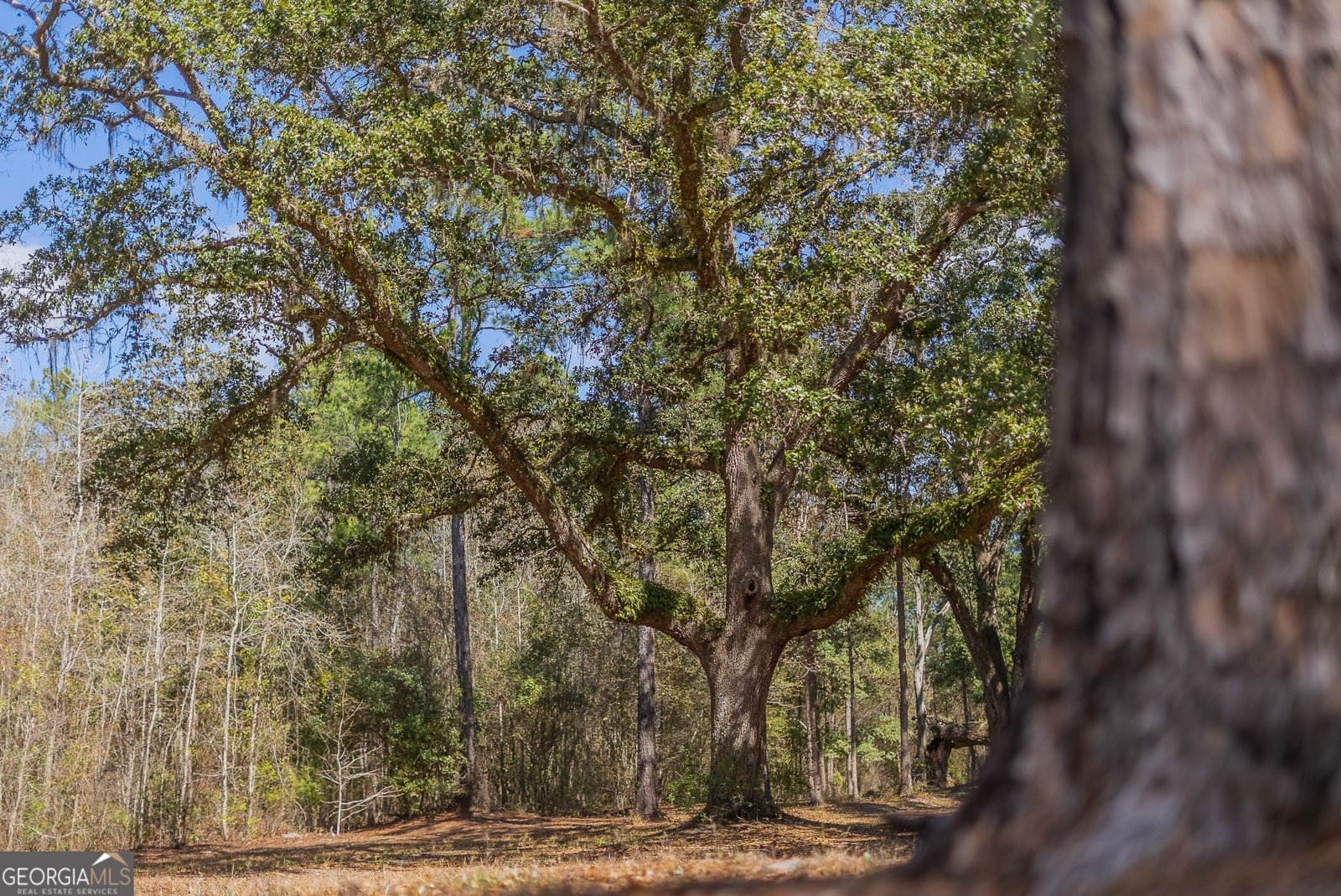 12321 Highway 185 St. George - Photo 74