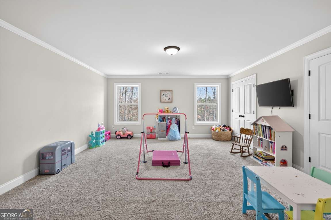 4596 Birch Way Loganville - Photo 35