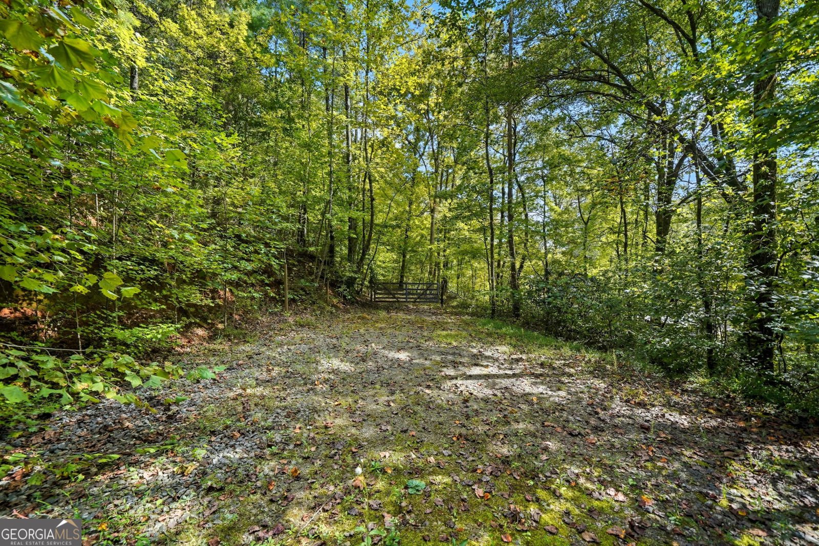 257 Foothills Drive Cleveland - Photo 52