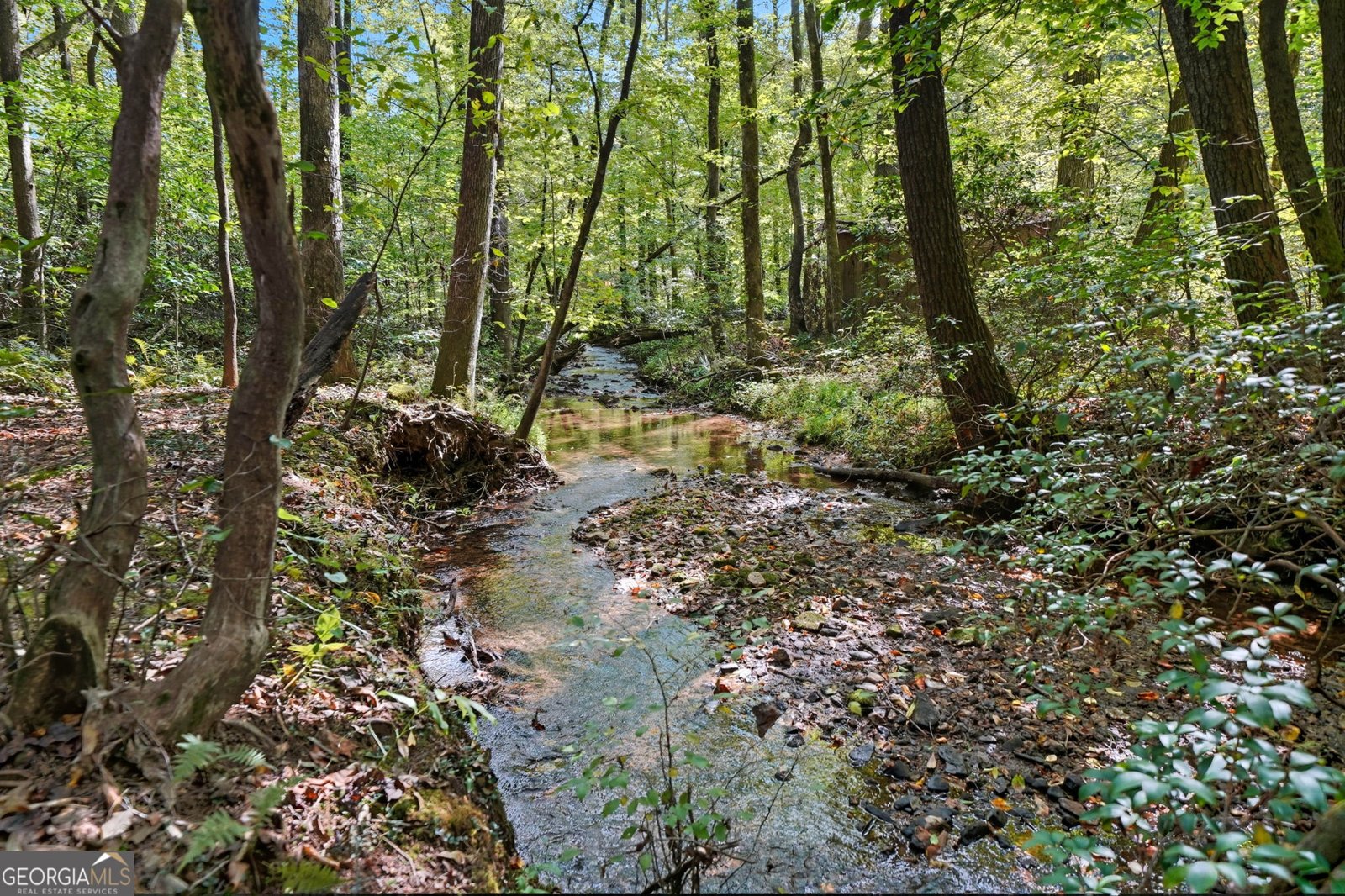 257 Foothills Drive Cleveland - Photo 56