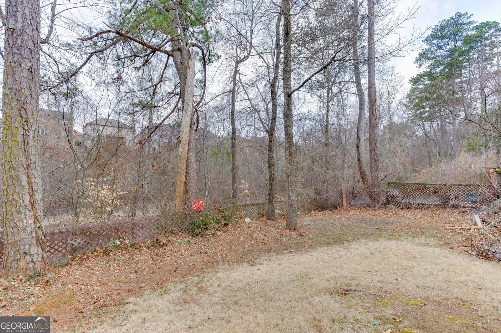 5776 Princeton Run Trail Tucker - Photo 59