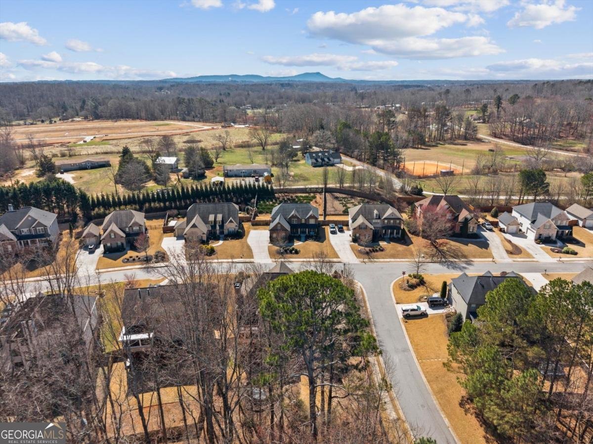 6910 Concord Brook Lane Cumming - Photo 48