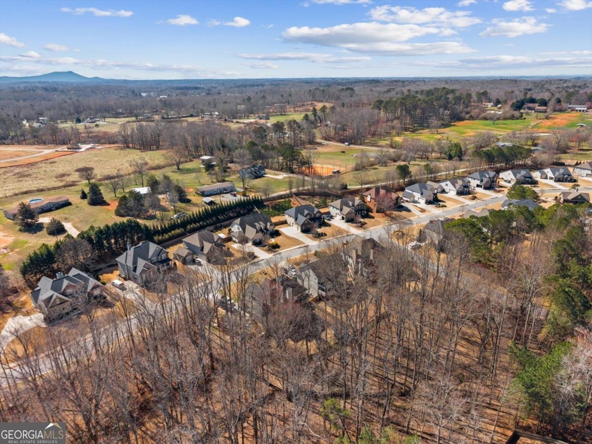 6910 Concord Brook Lane Cumming - Photo 51