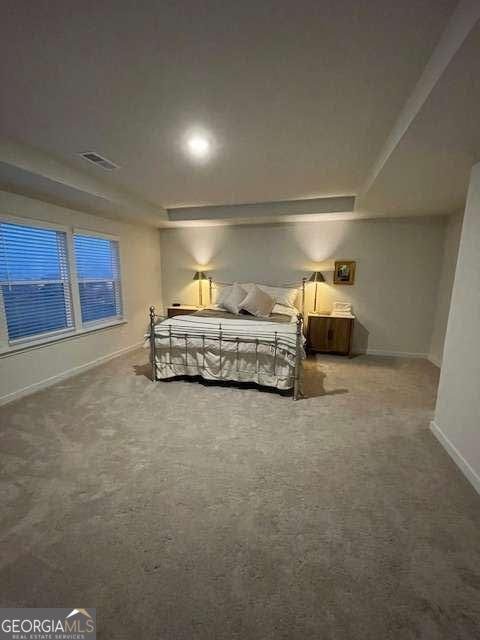 6705 Jumping Trout Drive Dawsonville - Photo 11