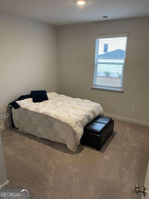 6705 Jumping Trout Drive Dawsonville - Photo 14