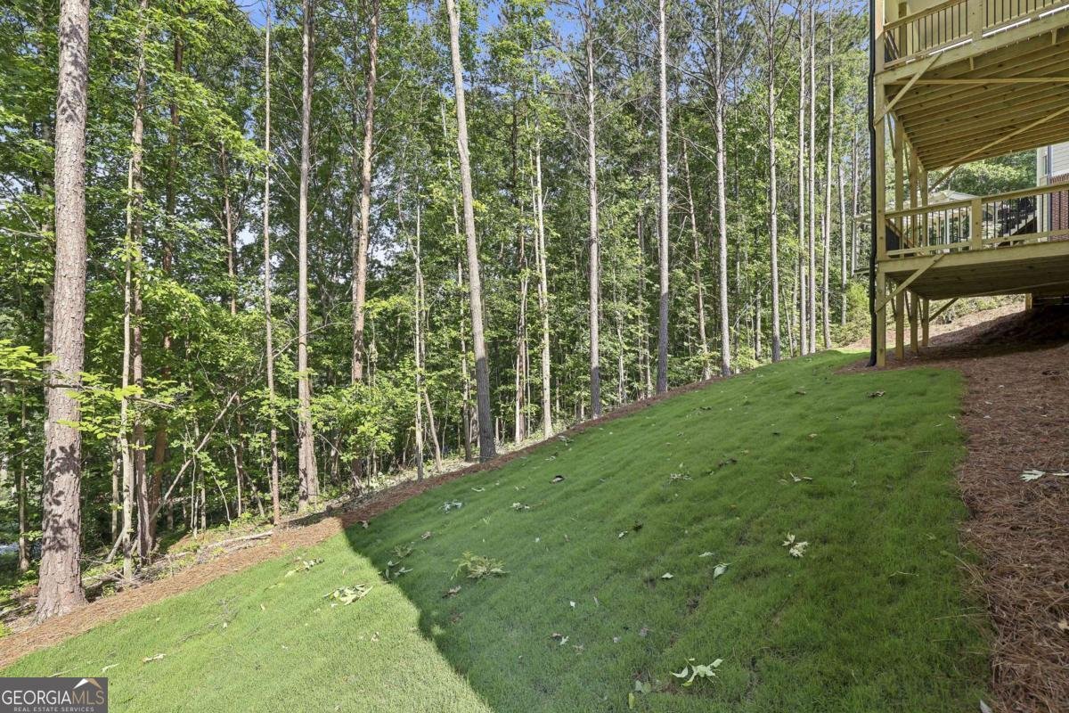 56 Knollwood Court Dawsonville - Photo 48