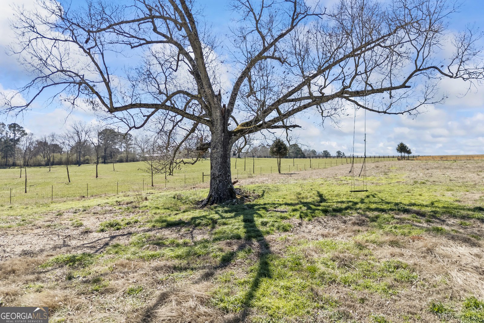 2223 Salem Road Watkinsville - Photo 60