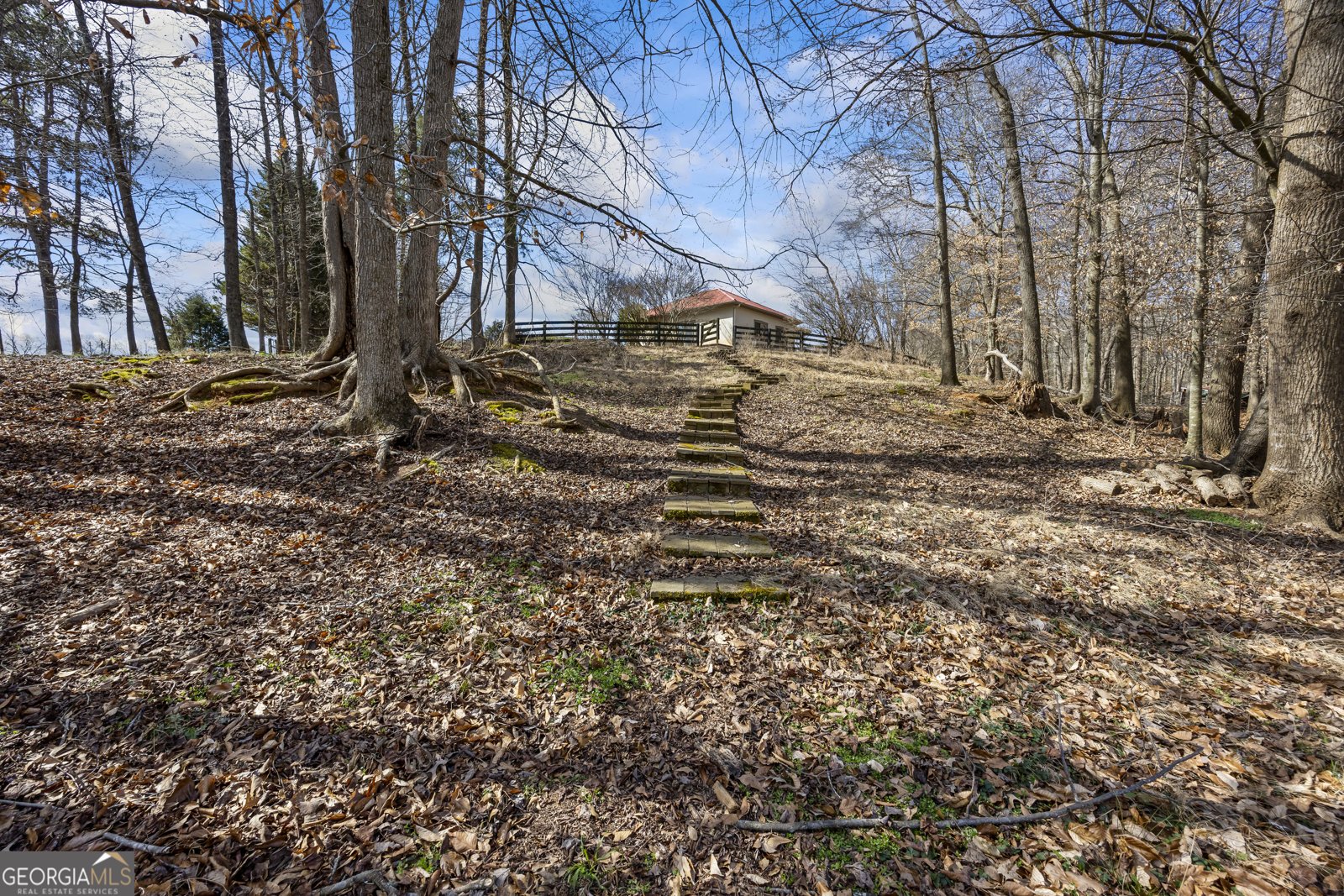 2223 Salem Road Watkinsville - Photo 66